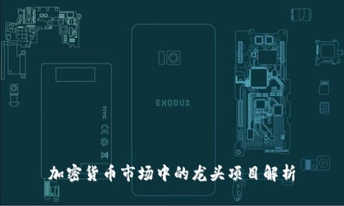 加密货币市场中的龙头项目解析