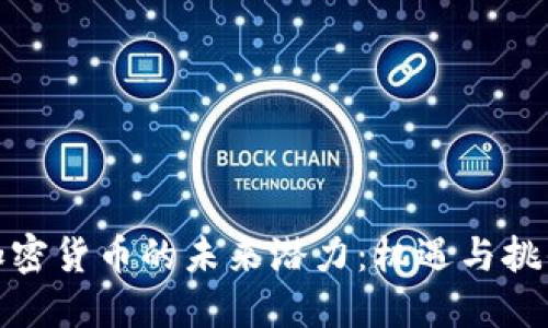 加密货币的未来潜力：机遇与挑战